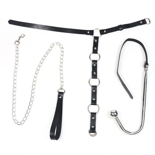 Anal Hooks Anal Leash 5853 Hook EverydayUse and with Kinky Collar 1017